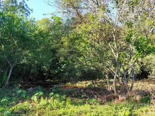 Área rural, foto 6