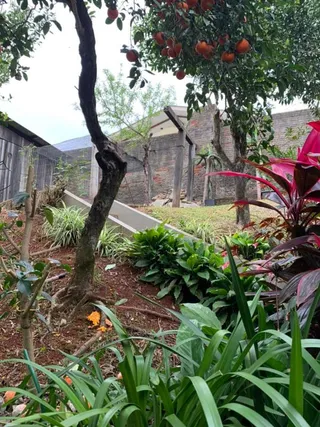Casa com 4 dormitórios, foto 14