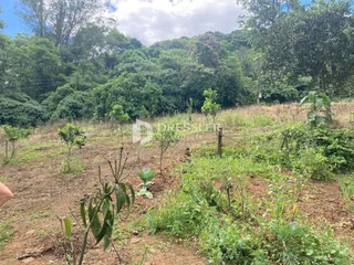 Área rural com 2 dormitórios, foto 12