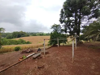 Área rural com 4 dormitórios, foto 18