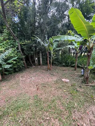 Área rural com 2 dormitórios, foto 17
