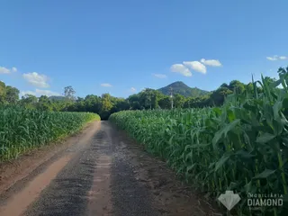 Área rural com 4 dormitórios, foto 32