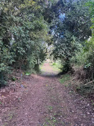 Área rural com 2 dormitórios, foto 11