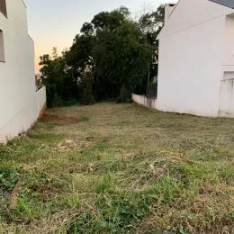 Área externa com grama alta e vegetação.