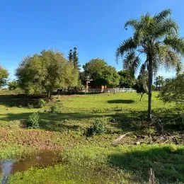 Uma paisagem de campo com grama e árvores em Lajeado.