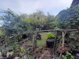 Casa com 2 dormitórios, foto 8