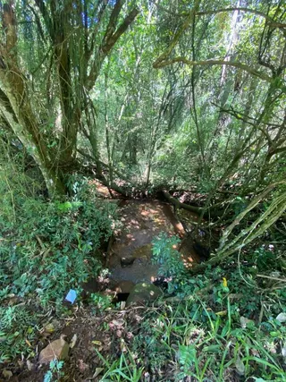 Área rural, foto 6