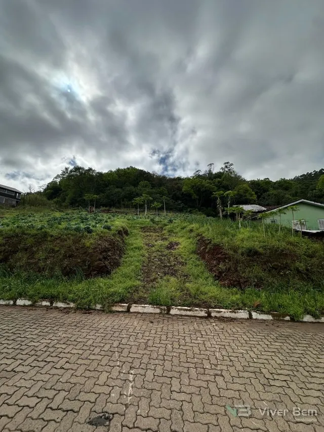 Terreno, foto 5