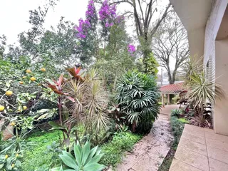 Casa com 3 dormitórios, foto 7