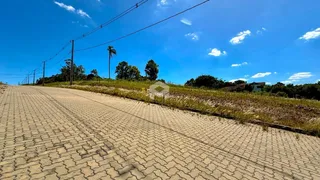 Vista da estrada e da vegetação ao longo de uma via no exterior.