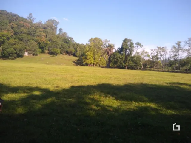 Paisagem de um campo gramado com árvores ao fundo.