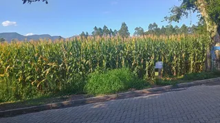 Terreno, foto 2