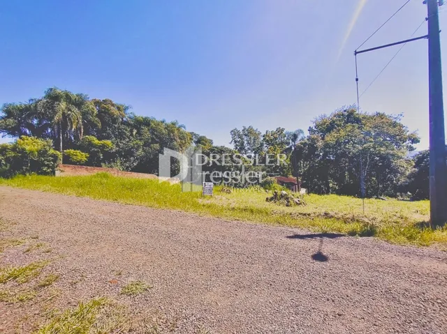 Paisagem de campo com vegetação e estrada de terra.