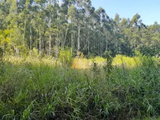 Terreno, foto 9