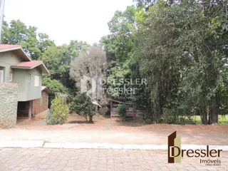 Vista externa de uma propriedade com vegetação densa.