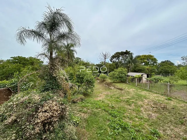 Vista da propriedade com vegetação densa e gramado.