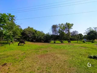 Terreno, foto 4