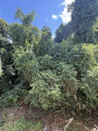 Casa com 2 dormitórios, foto 12