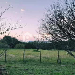 Campo gramado com árvores ao fundo sob um céu claro.