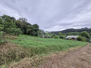 Terreno, foto 4