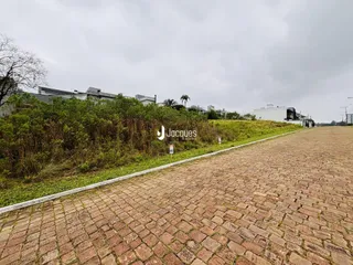 Vista externa de uma propriedade com vegetação densa e estrada pavimentada.