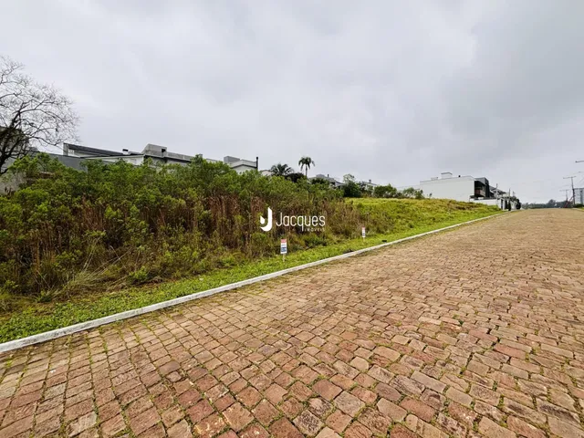 Vista externa de uma propriedade com vegetação densa e estrada pavimentada.