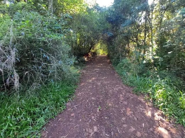 Área rural com 1 dormitório, foto 2