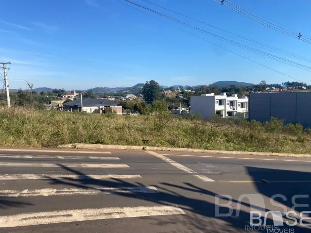 Terreno, foto 3