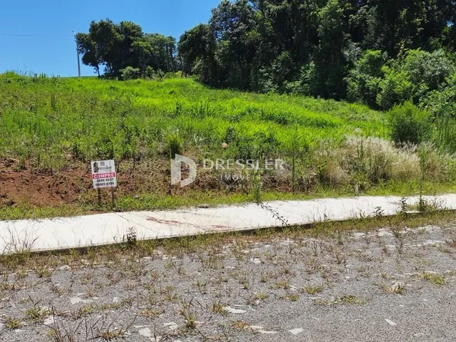 Terreno, foto 2