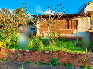 Terreno, foto 3