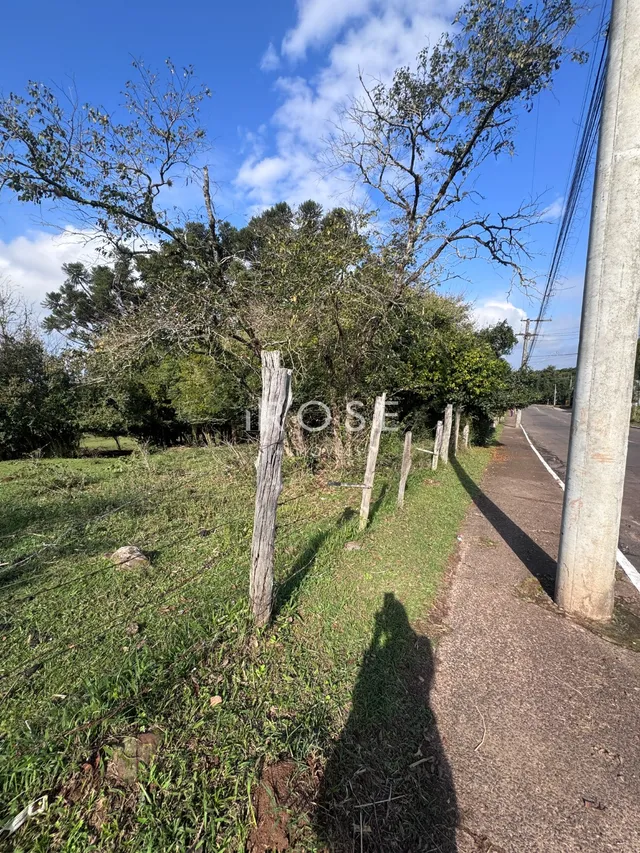 Área rural, foto 3