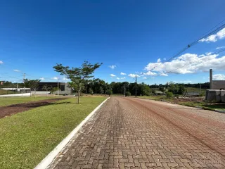 Terreno, foto 4