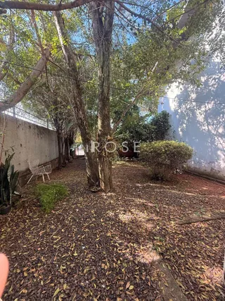 Casa com 3 dormitórios, foto 6