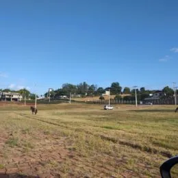 Terreno, foto 2