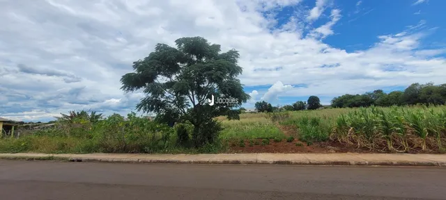 Terreno