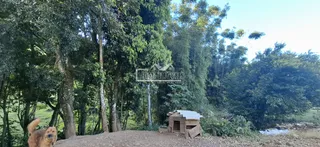 Área rural com 3 dormitórios, foto 19