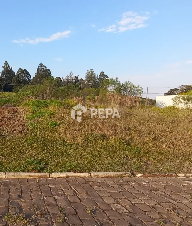 Terreno, foto 2