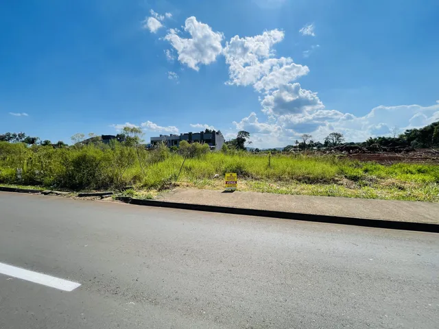 Vista externa da propriedade com vegetação e uma estrada no primeiro plano.