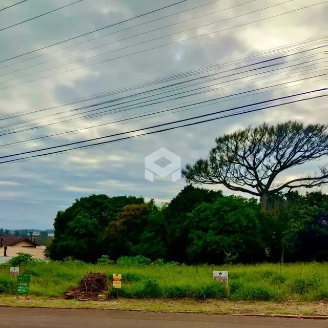 Paisagem de campo com árvores e vegetação ao ar livre em Lajeado.