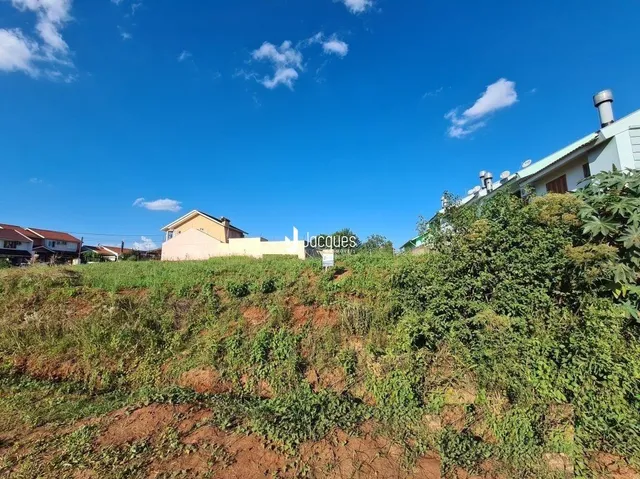 Terreno, foto 2