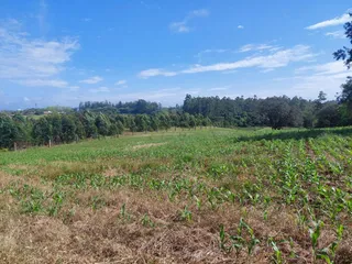 Área rural, foto 3