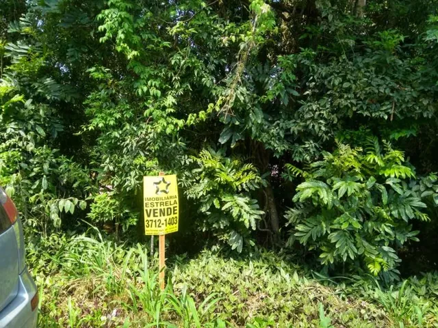 Terreno, foto 4