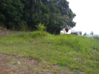 Terreno, foto 1