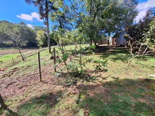 Área rural com 2 dormitórios, foto 4