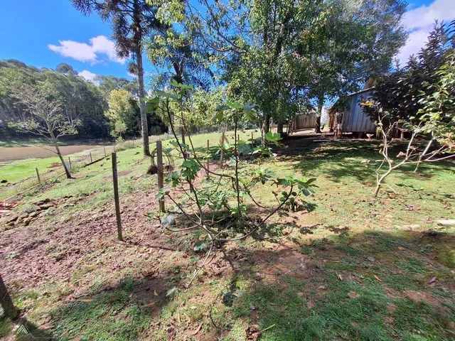 Área rural com 2 dormitórios, foto 4