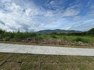 Paisagem de campo com vegetação alta e colinas ao fundo.