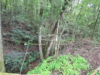 Área rural, foto 7