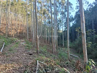 Área rural, foto 8