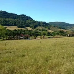 Vista de um campo aberto com colinas ao fundo.