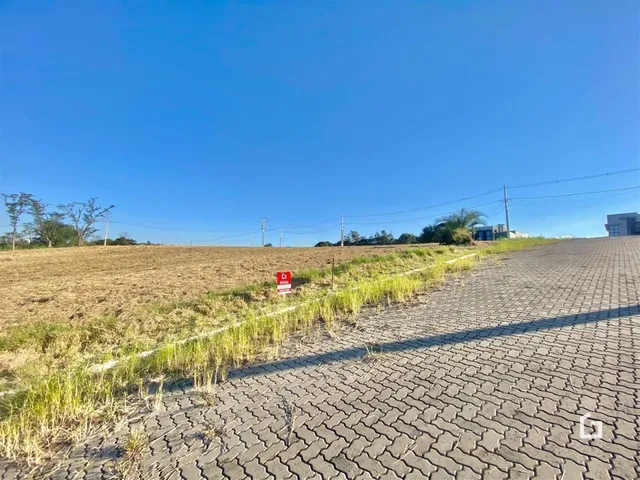 Terreno, foto 3